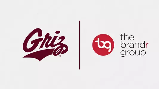 Brandr Group