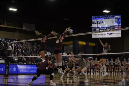 Volleyball at Northern Colorado