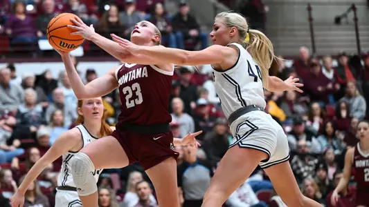 The Montana Grizzlies play against Montana State at Robin Selvig Court inside Dahlberg Arena on January 25, 2025 in Missoula, Montana.