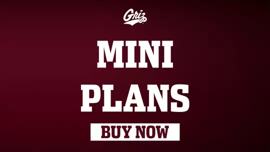 Mini Plans - Buy Now