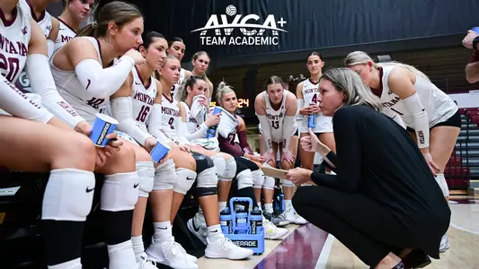 AVCA Team Academic Award