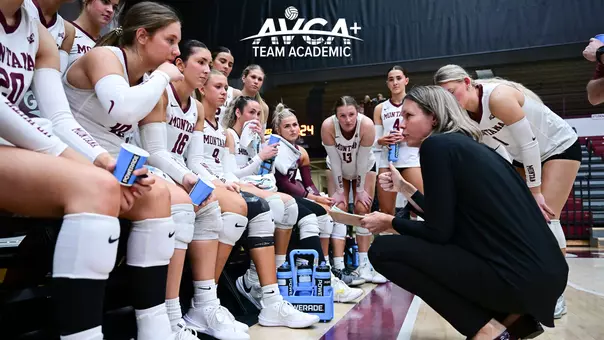AVCA Team Academic Award