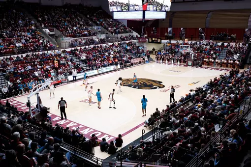 Griz Basketball