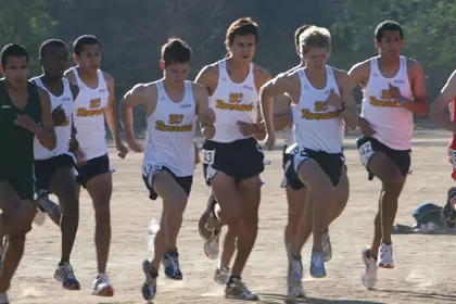 mxc