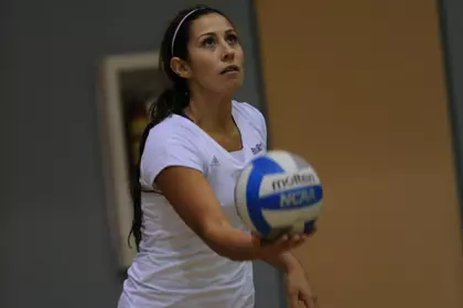 vb