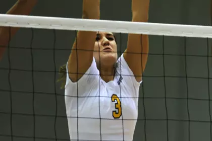 vb