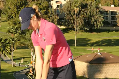 Alex Erdman Chipping