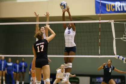 volleyball
