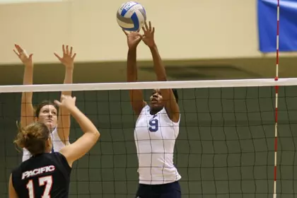 volleyball