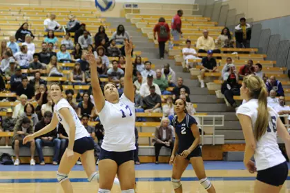 volleyball