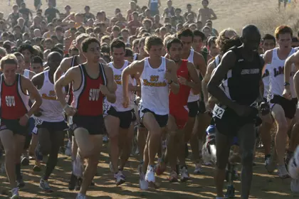 xc