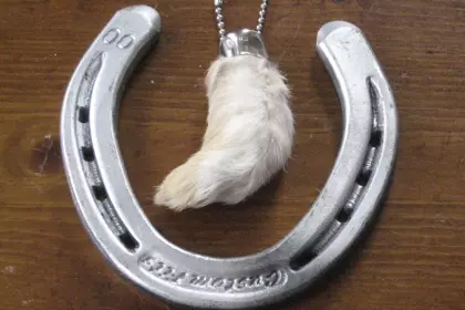 Rabbit Foot Horse Shoe