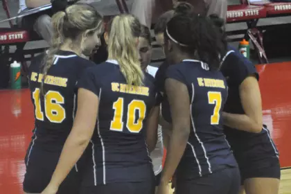 vb