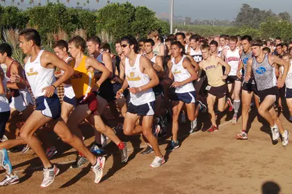 xc