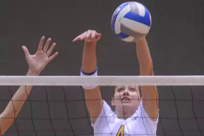 Tigers Defeat UC Riverside Volleyball 3-0 Image