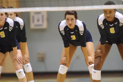 Volleyball Looks To Keep Win Streak Alive At CS Northridge On Saturday Image