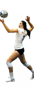 vb