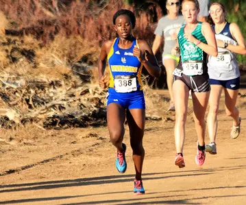 Cross Country Travels To The Bay Area For Stanford Invitational Saturday Image