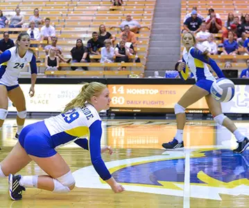 Volleyball Falls 3-0 To UC Irvine Image