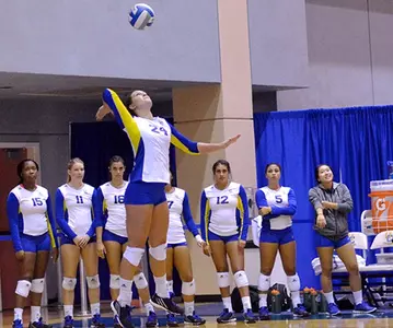 Volleyball Falls To Long Beach State On Senior Night Image