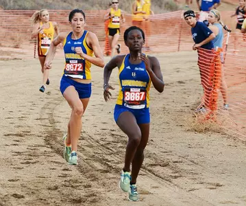 Makau Takes 16th At Stanford Invitational As Women's Cross Country Finishes 9th Out Of 30 Image