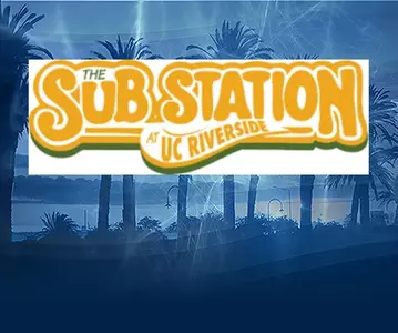 The Sub Station Palm Trees