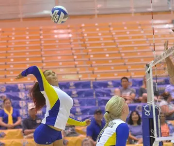 2016_VB_Rojes_Natalie_Spiking_01_puma