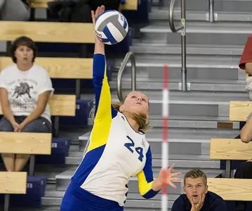 2016_VB_Newell_Leanne_spiking_01