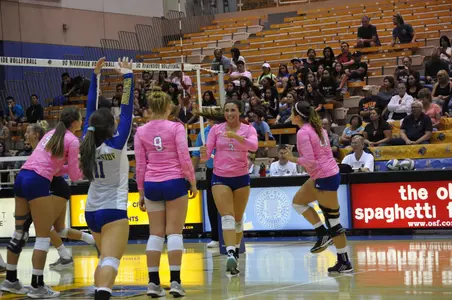 Pink VB game