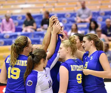 Volleyball Team Huddle Hands Raised