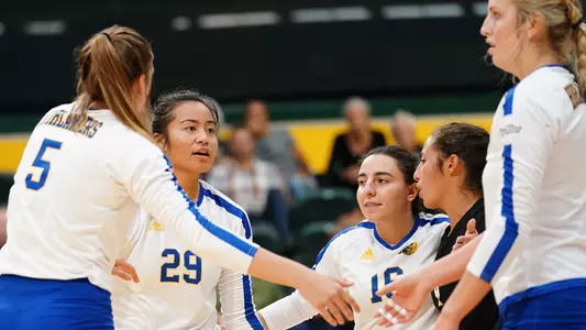Volleyball Team Huddle