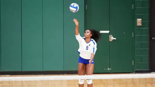 Amarachi Osuji Serving 2019 USF