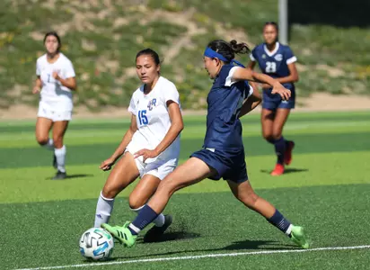 WSOC story