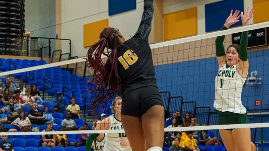 Sydnee Rowe