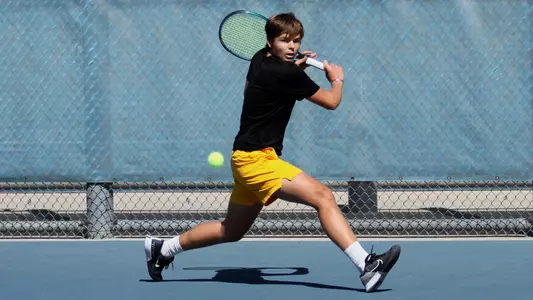 Alexey Efremov on the baseline