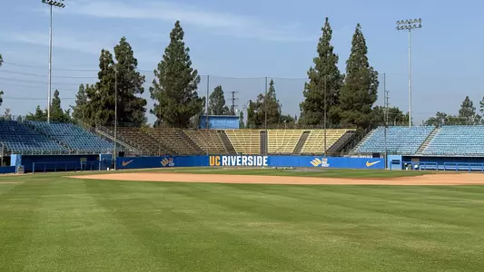 The Plex from the outfield