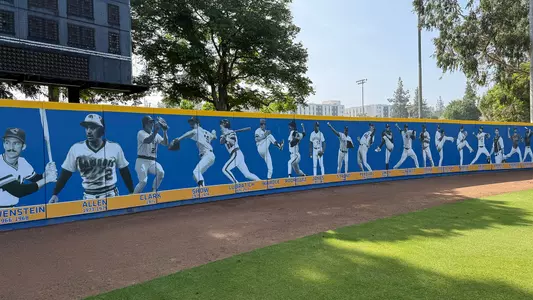 The Plex players on wall who played in MLB