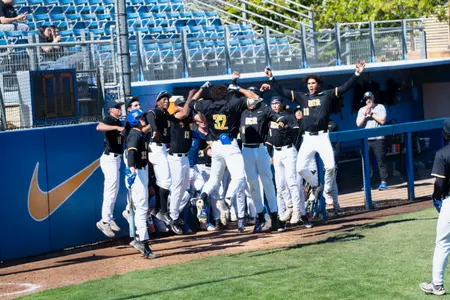Baseball vs Wagner