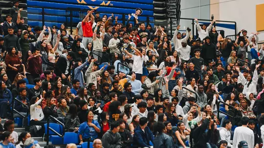 Fans Cheering at Basketball Game