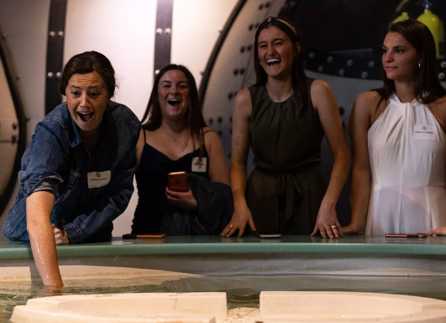 Blue & Golden Globes