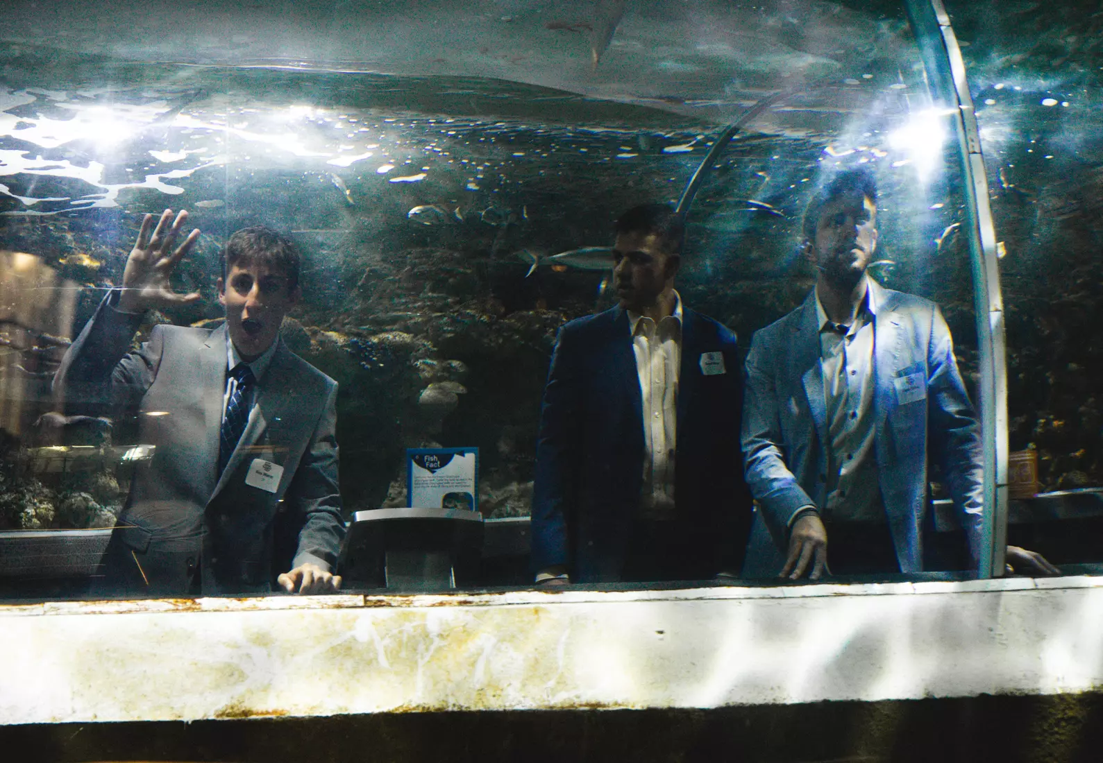 Blue & Golden Globes