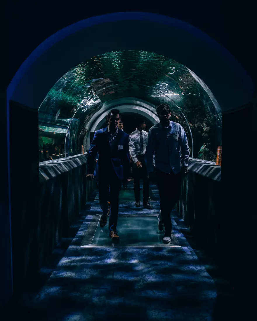 Blue & Golden Globes