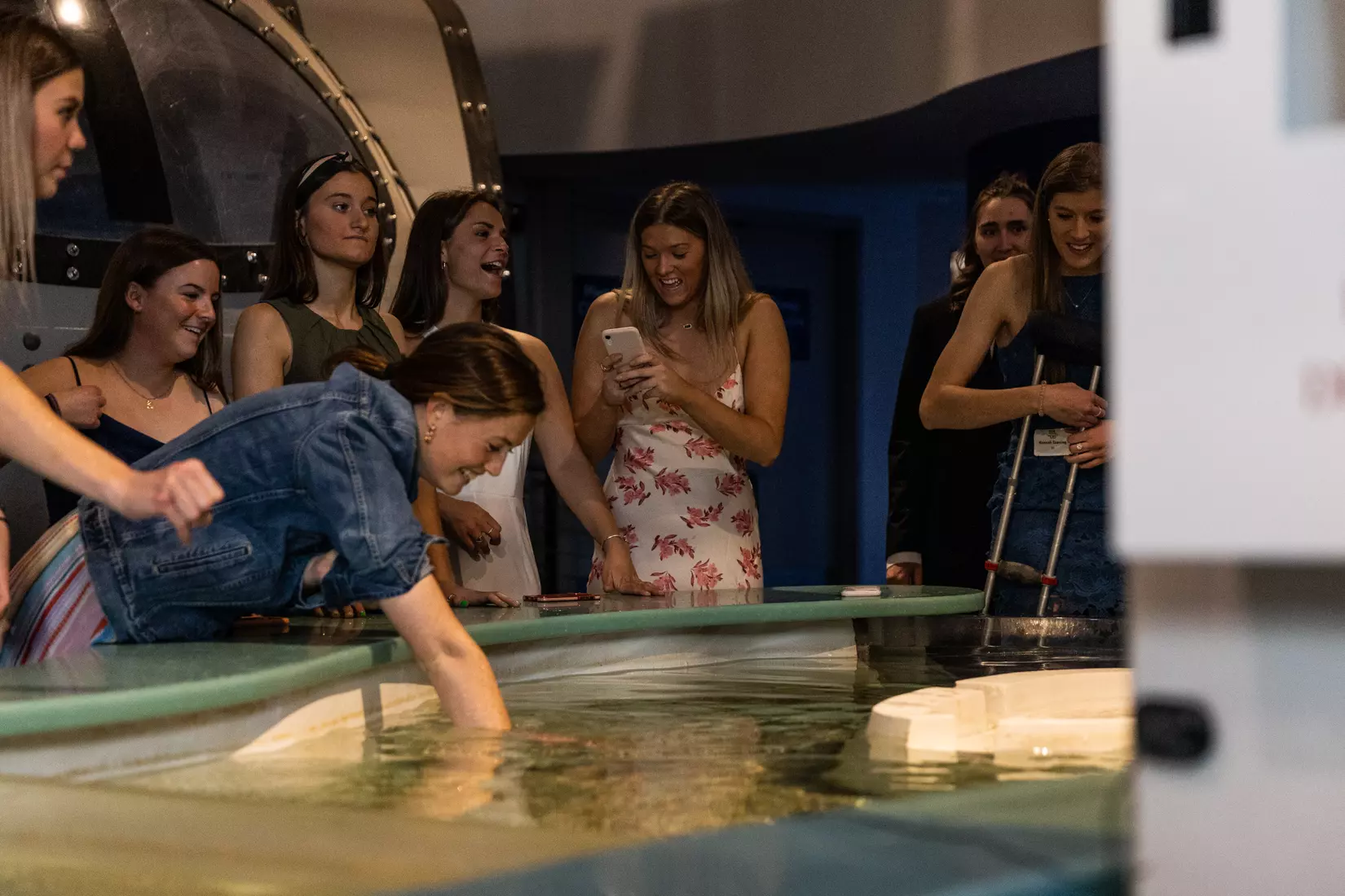 Blue & Golden Globes