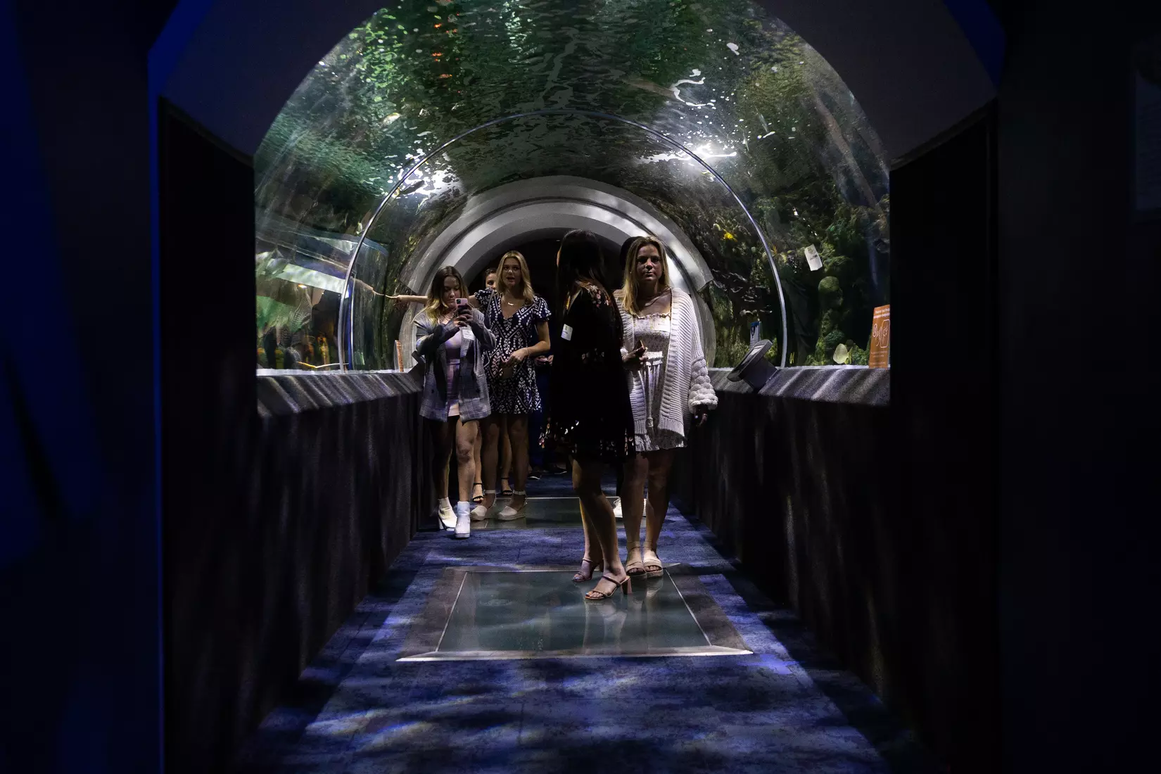 Blue & Golden Globes