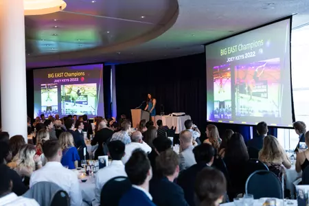 Blue & Golden Globes