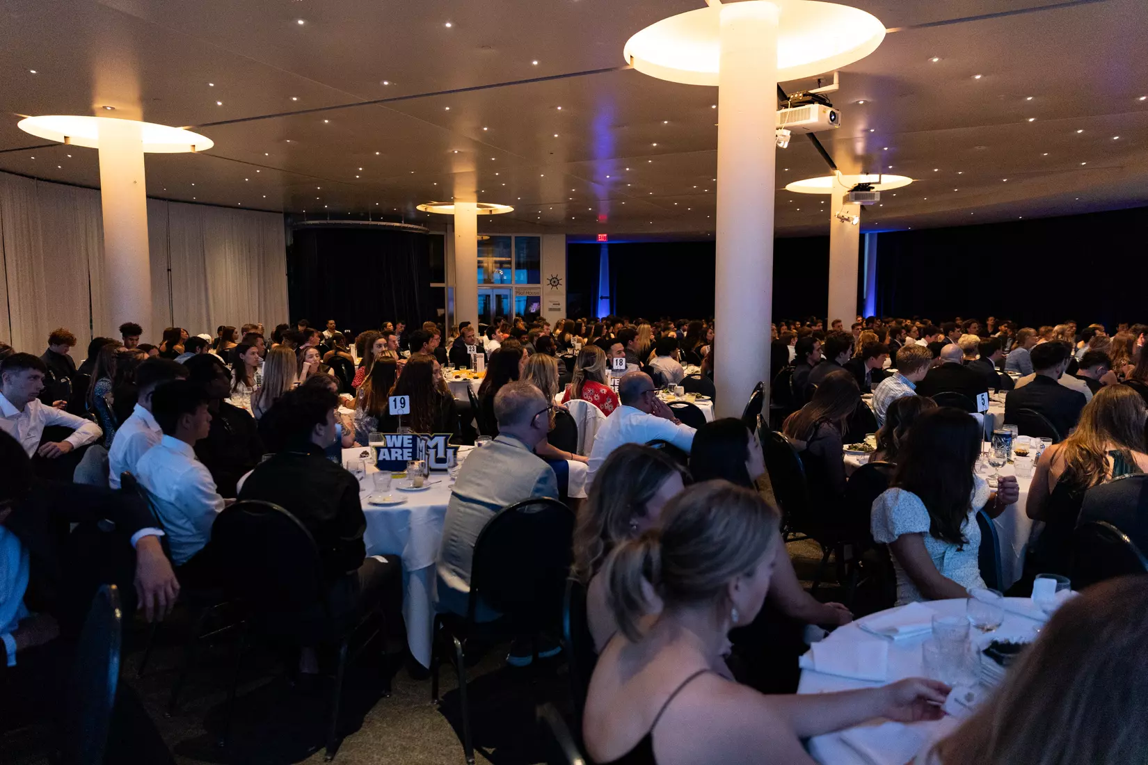 Blue & Golden Globes