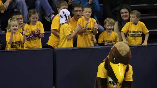 crowd and fan