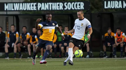 C. Nortey's goal was the 29th of his career.