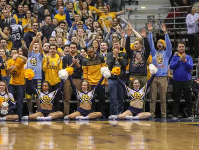 crowd and fan
