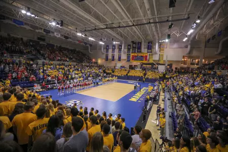 arena shot volleyball